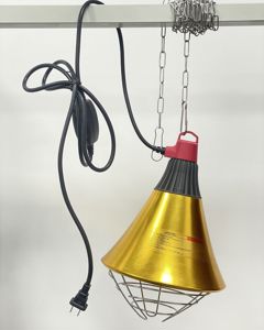 Lamp protector 2152P ,304 cage, 2 holes plug, 2m 304chain